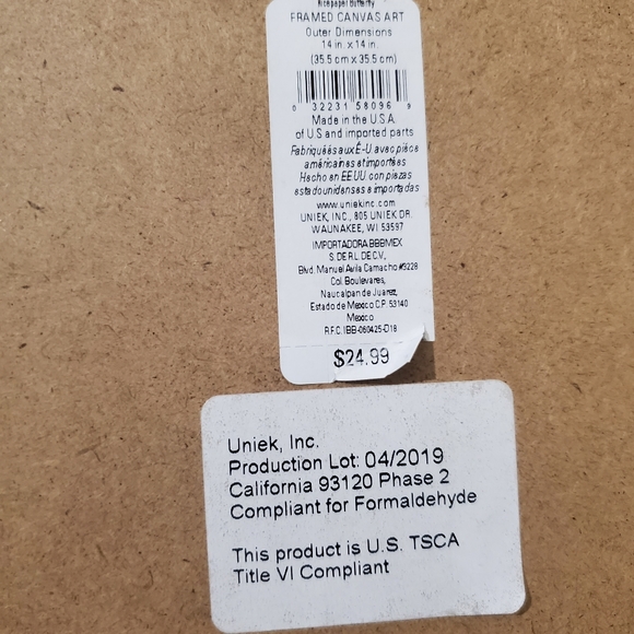 Rice Paper Butterfly 14-Inch Square Framed Canvas Wall Art - Picture 5 of 6